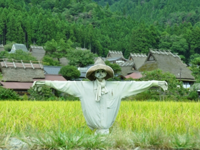 案山子 秋の風景図鑑