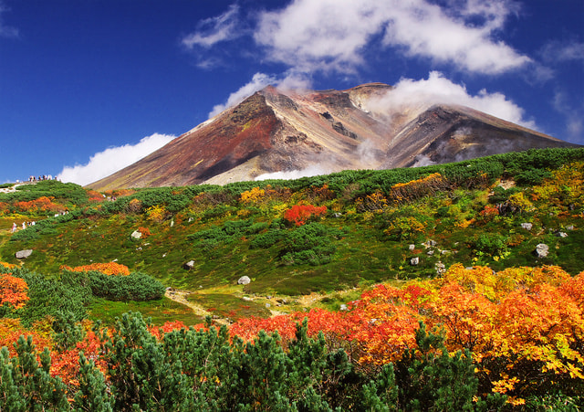 大雪山の紅葉