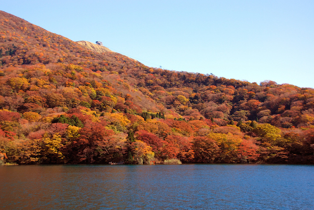 芦ノ湖湖畔の紅葉画像