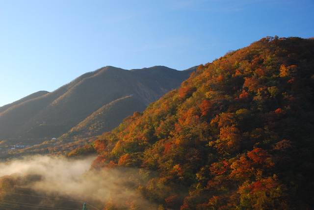 小塚山の紅葉画像