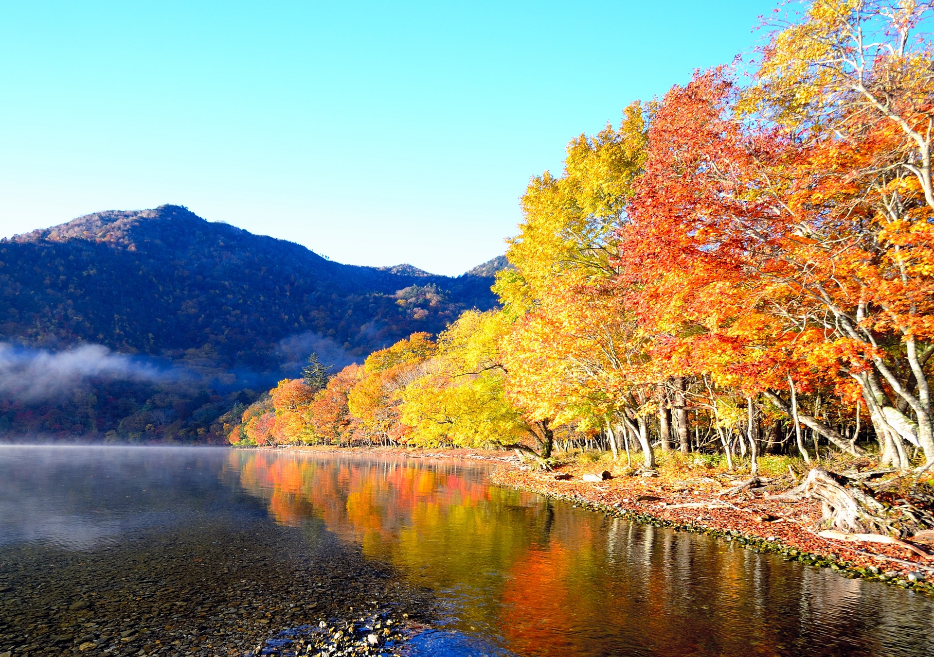 日光の紅葉画像