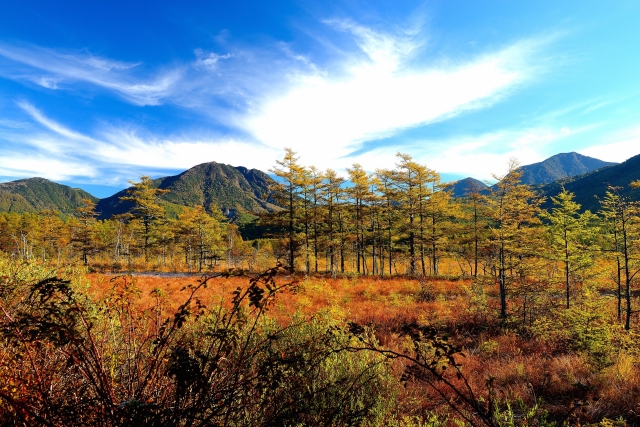 日光の紅葉画像