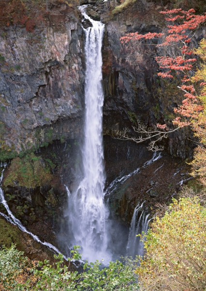 紅葉の画像