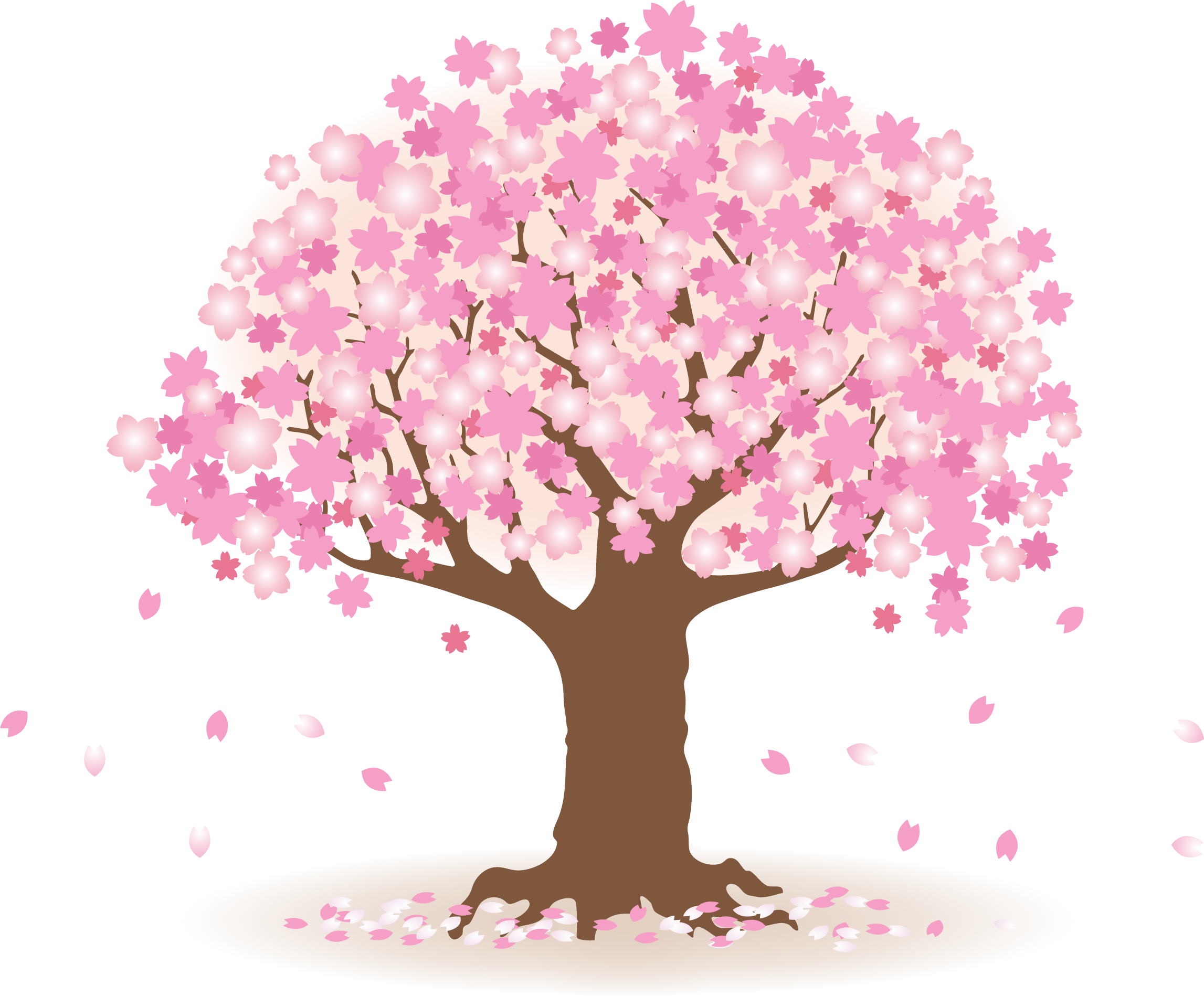 桜のイラスト 桜イラストのフリー素材が無料