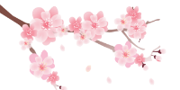 桜のイラスト