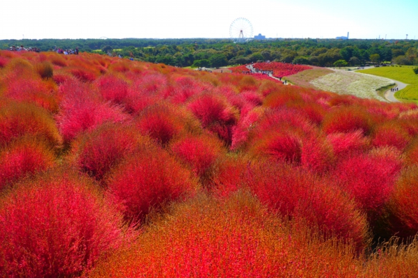 絶景の画像