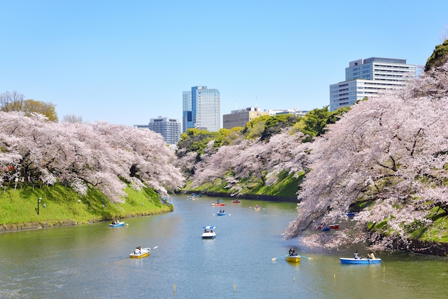 絶景の画像