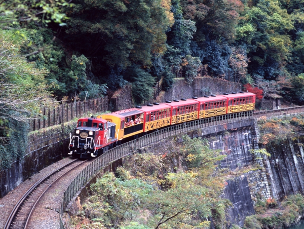 嵯峨野トロッコ列車の絶景車窓 ディスカバーニッポン