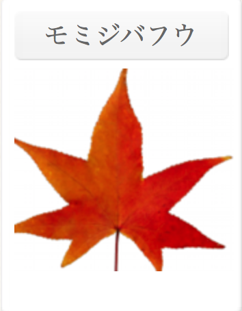 鮮やかな紅葉画像