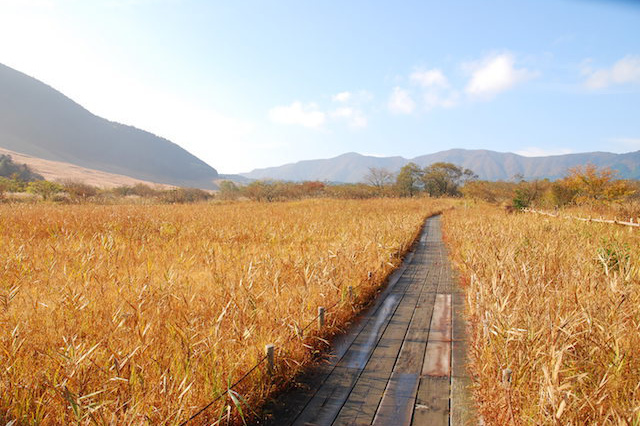 紅葉の鮮やかな山