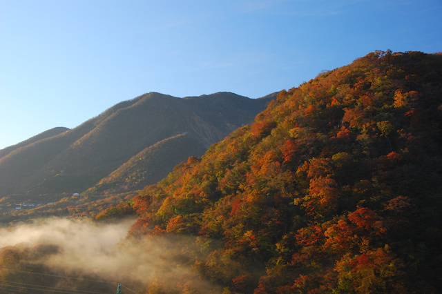 紅葉の鮮やかな山