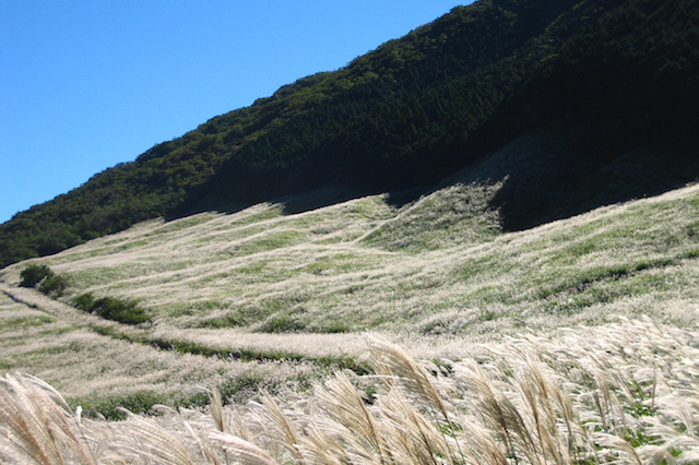 紅葉の鮮やかな山