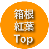 Topページに戻るバナー