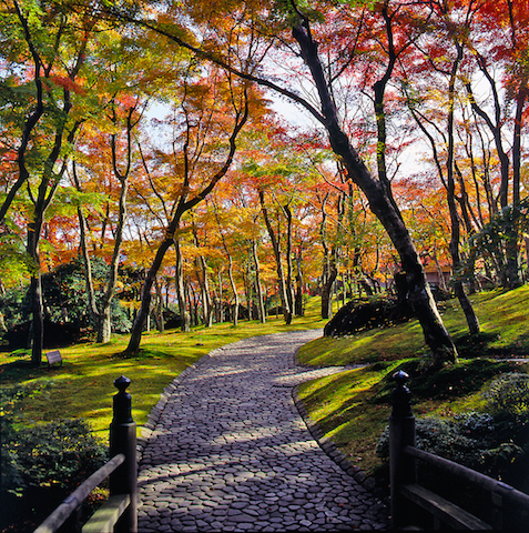 箱根美術館の紅葉の画像