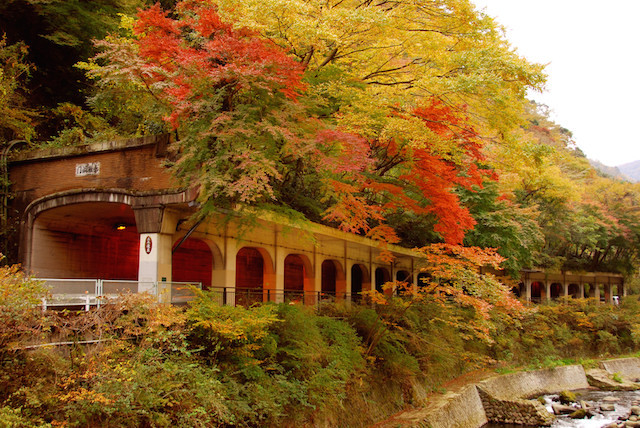 箱根湯本の紅葉画像