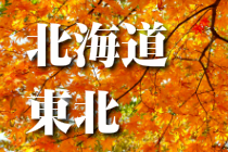 紅葉の鮮やかな木々