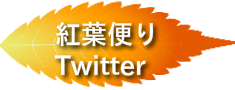 twitterリンクバナー