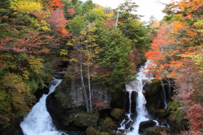 日光の紅葉画像