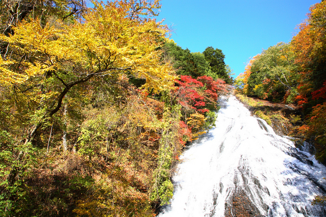 日光の紅葉画像