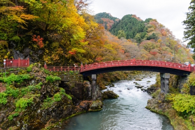 日光の紅葉画像