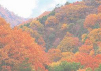 映像の画像