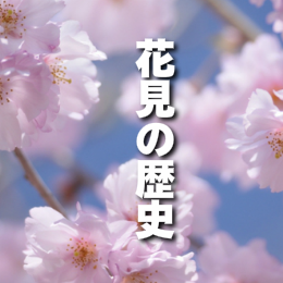 桜の画像