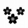 106574s.jpg