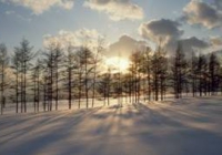 冬の自然の癒しの雪景色.jpg