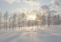 冬の自然の癒しの雪景色.jpg
