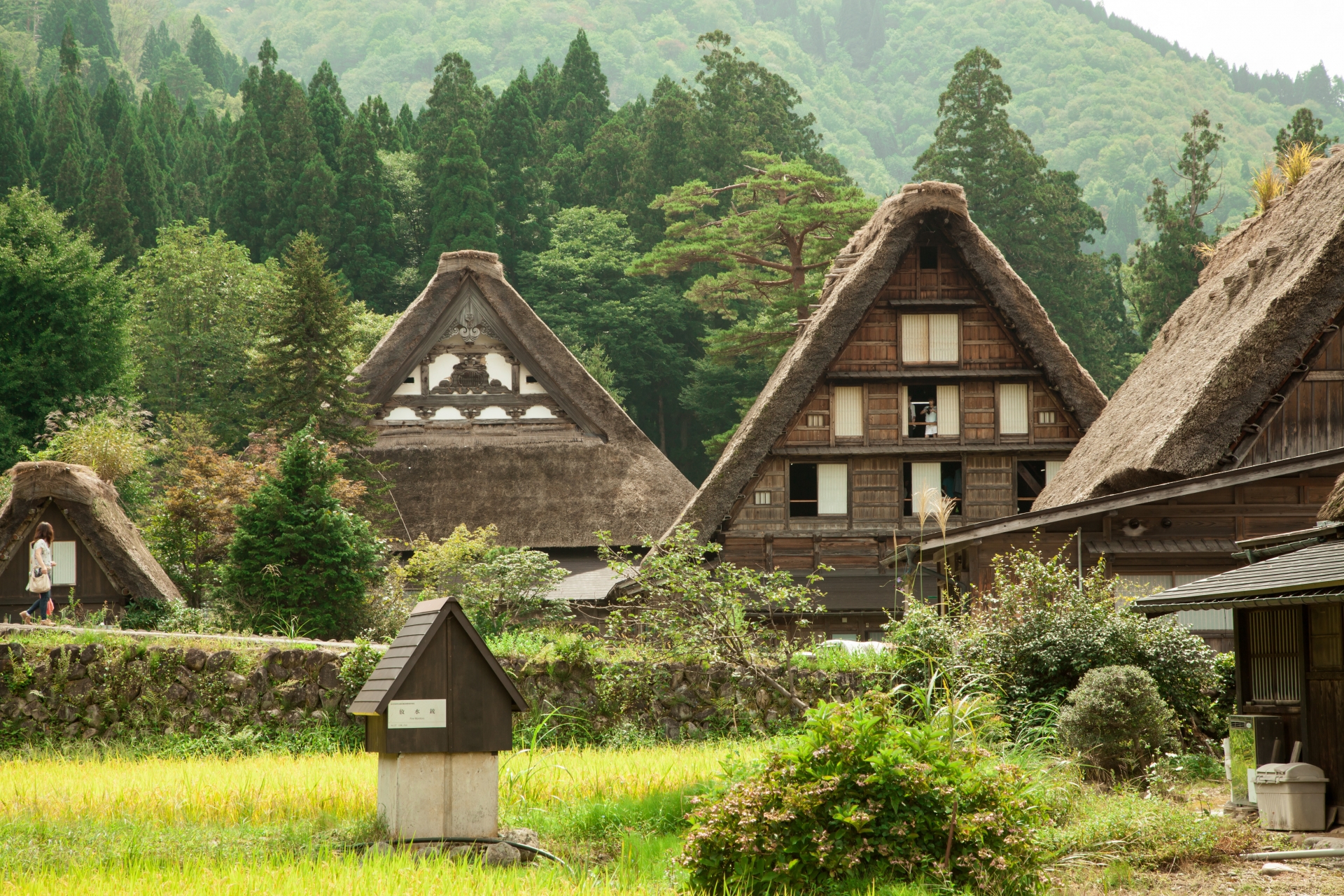 絶景の画像