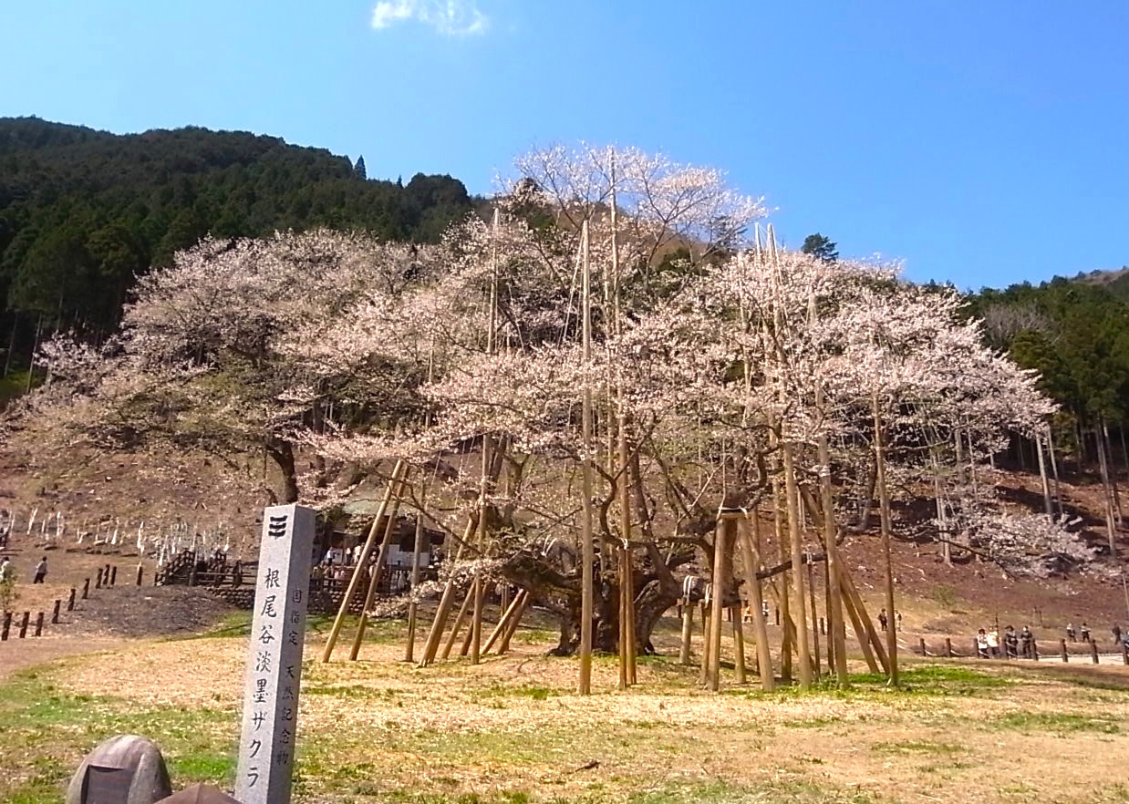 絶景の画像