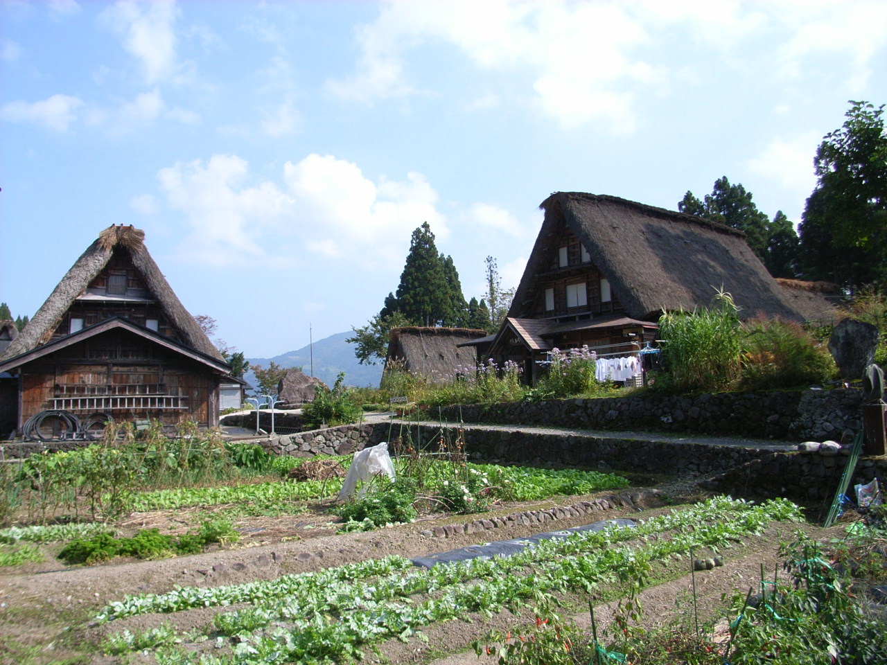 絶景の画像