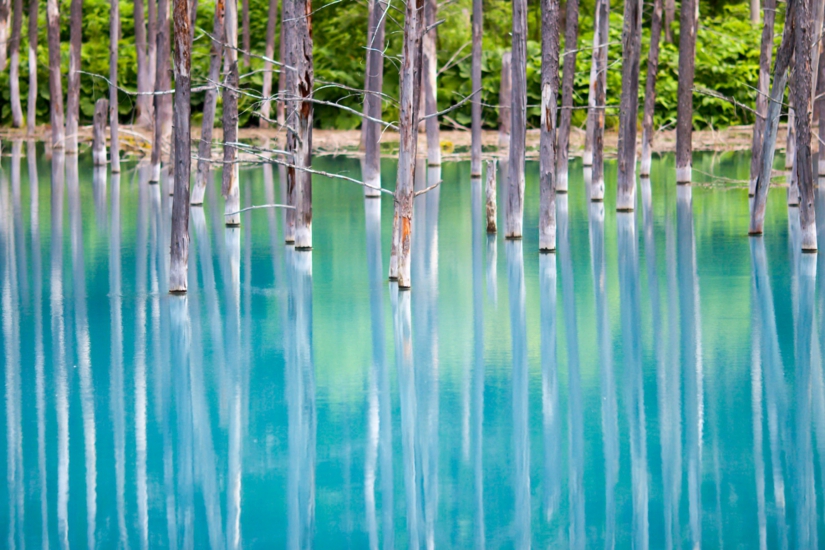 青い池の画像