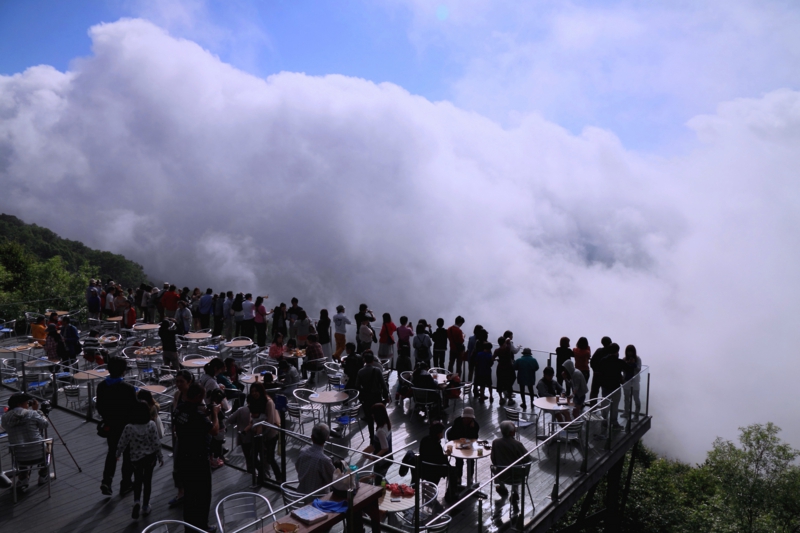 雲海テラスの画像