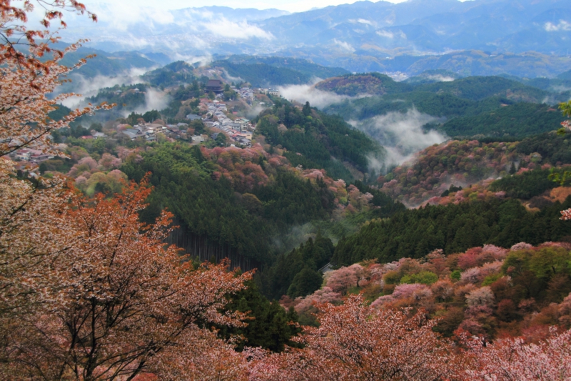 絶景の画像