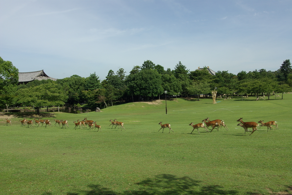 絶景の画像