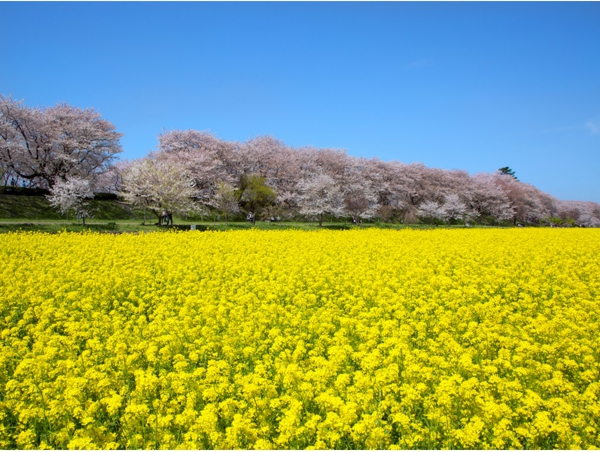 絶景の画像