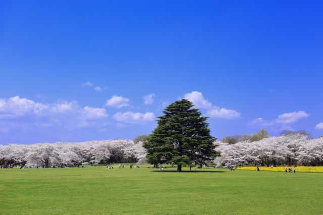 絶景の画像