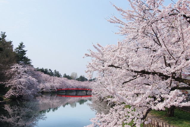 絶景の画像