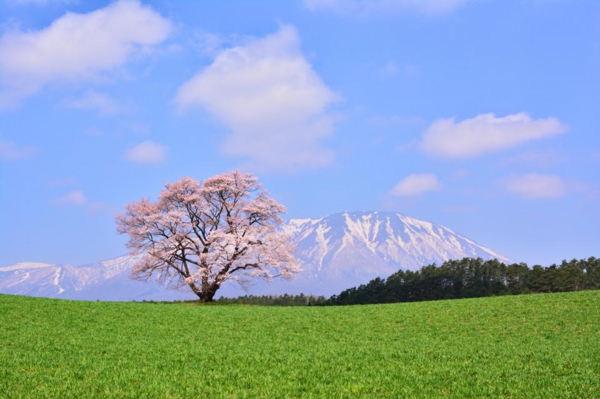 絶景の画像