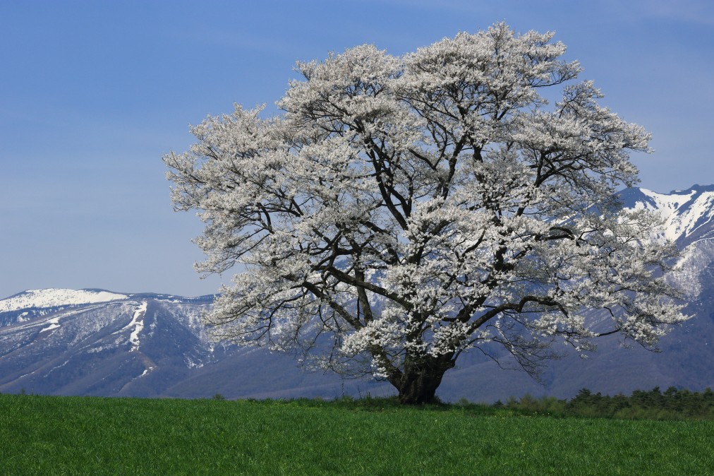 絶景の画像