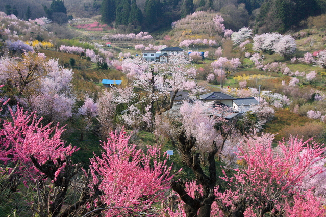 絶景の画像