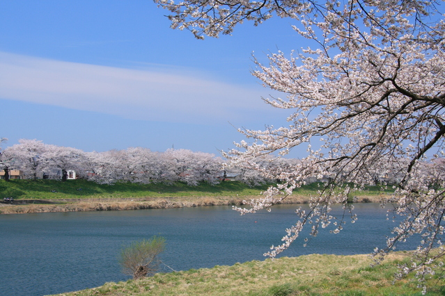 絶景の画像