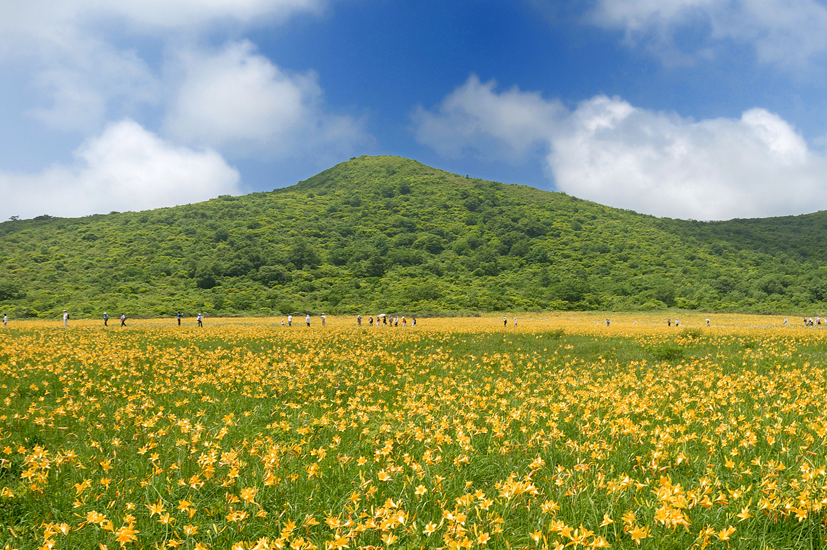 絶景の画像