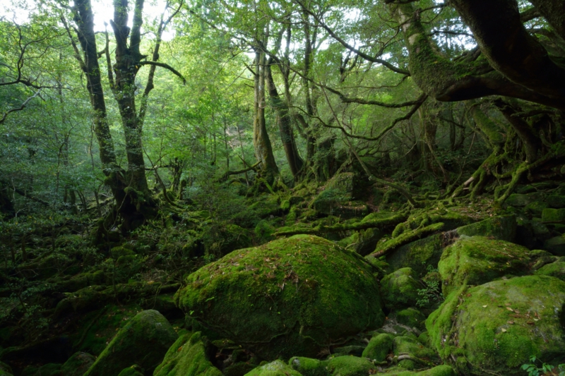 絶景名所の画像