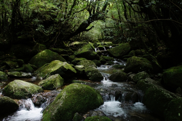 絶景名所の画像