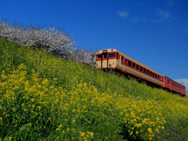 いすみ鉄道.jpg