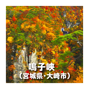 秋の風景画像