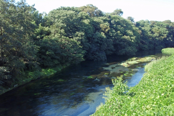 Kakita_river,_20110918_A.jpg