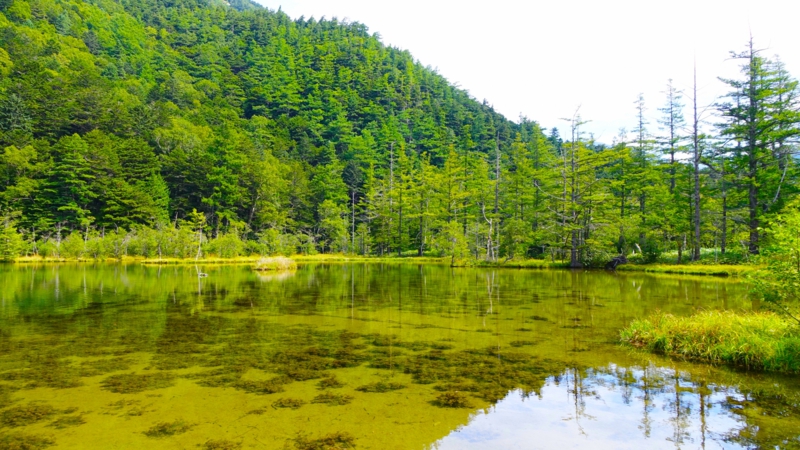 明神池（長野県上高地）.jpg